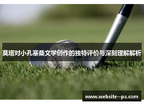 莫塔对小孔塞桑文学创作的独特评价与深刻理解解析 莫塔对小孔塞桑文学创作的独特评价与深刻理解解析