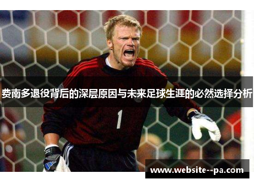 费南多退役背后的深层原因与未来足球生涯的必然选择分析 费南多退役背后的深层原因与未来足球生涯的必然选择分析