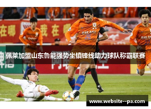 佩莱加盟山东鲁能强势坐镇锋线助力球队称霸联赛 佩莱加盟山东鲁能强势坐镇锋线助力球队称霸联赛