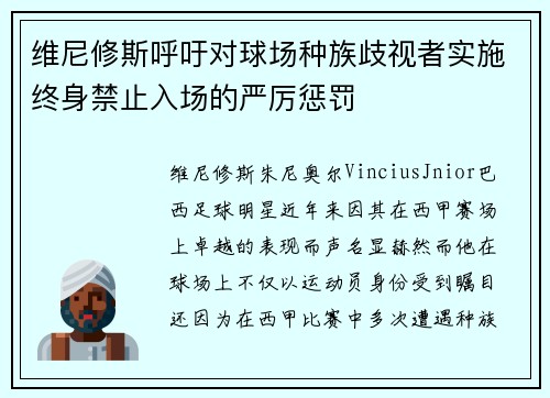 维尼修斯呼吁对球场种族歧视者实施终身禁止入场的严厉惩罚 维尼修斯呼吁对球场种族歧视者实施终身禁止入场的严厉惩罚